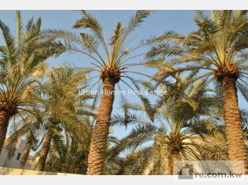 Villa For Rent in Kuwait - 206047 - Photo #