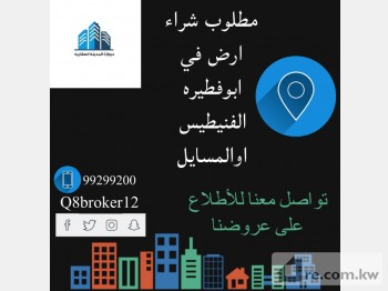 Land For Sale in Kuwait - 242467 - Photo #