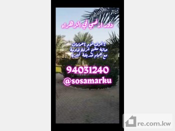 Floor For Rent in Kuwait - 255006 - Photo #