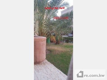 Villa For Rent in Kuwait - 270903 - Photo #